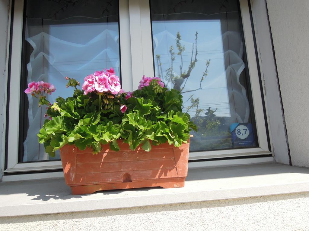 B&B Carlotta Bologne Extérieur photo